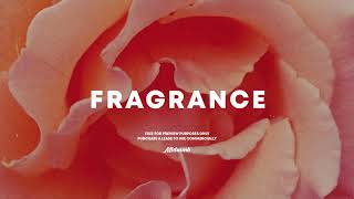 Video thumbnail of "⚡ [FREE] Calvin Harris x Sam Smith Type Beat x Funk Pop Instrumental "Fragrance""