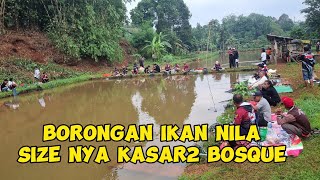 BORONGAN IKAN NILA 3 KUINTAL,,HASIL NYA SAMPE DIGOTONG ‼️ MANCING BORONGAN NILA