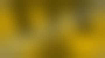 How to fit a BSA de-pinger to a BSA Ultra or Scorpion XTX