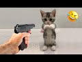 一番面白い動物たちがあなたの一日を明るくします 😅🤣 かわいい＆おもしろい猫 2025 😸🐾