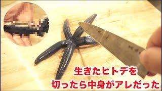 ヒトデを切ったら中身がまさかのアレだった・・・