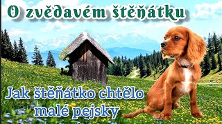 O zvědavém štěňátku - 4/4 Jak štěňátko chtělo malé pejsky.