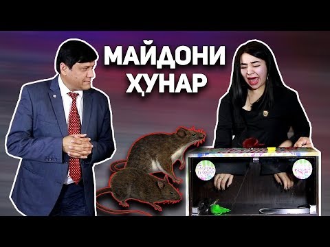 Чонон дар барномаи МАЙДОНИ ХУНАР / Муш Чонона Газид!