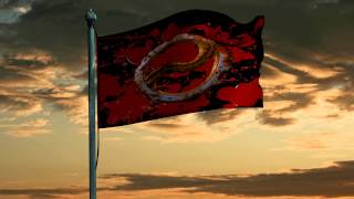 the AoX flag waving in the wind screenshot 5
