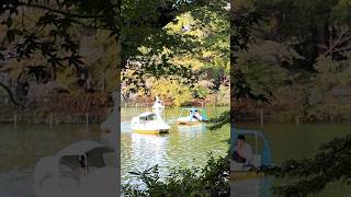 What To Do In Kichijoji For Locals