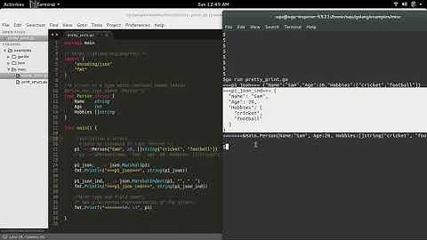 Go Golang pretty print struct