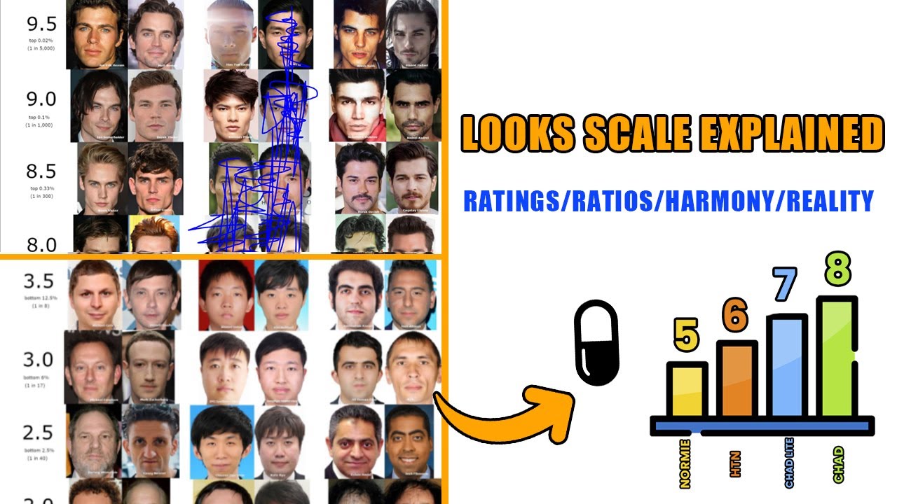 The Complete Looks Scale Explained (Ratings, Ratios, Harmony & Reality)