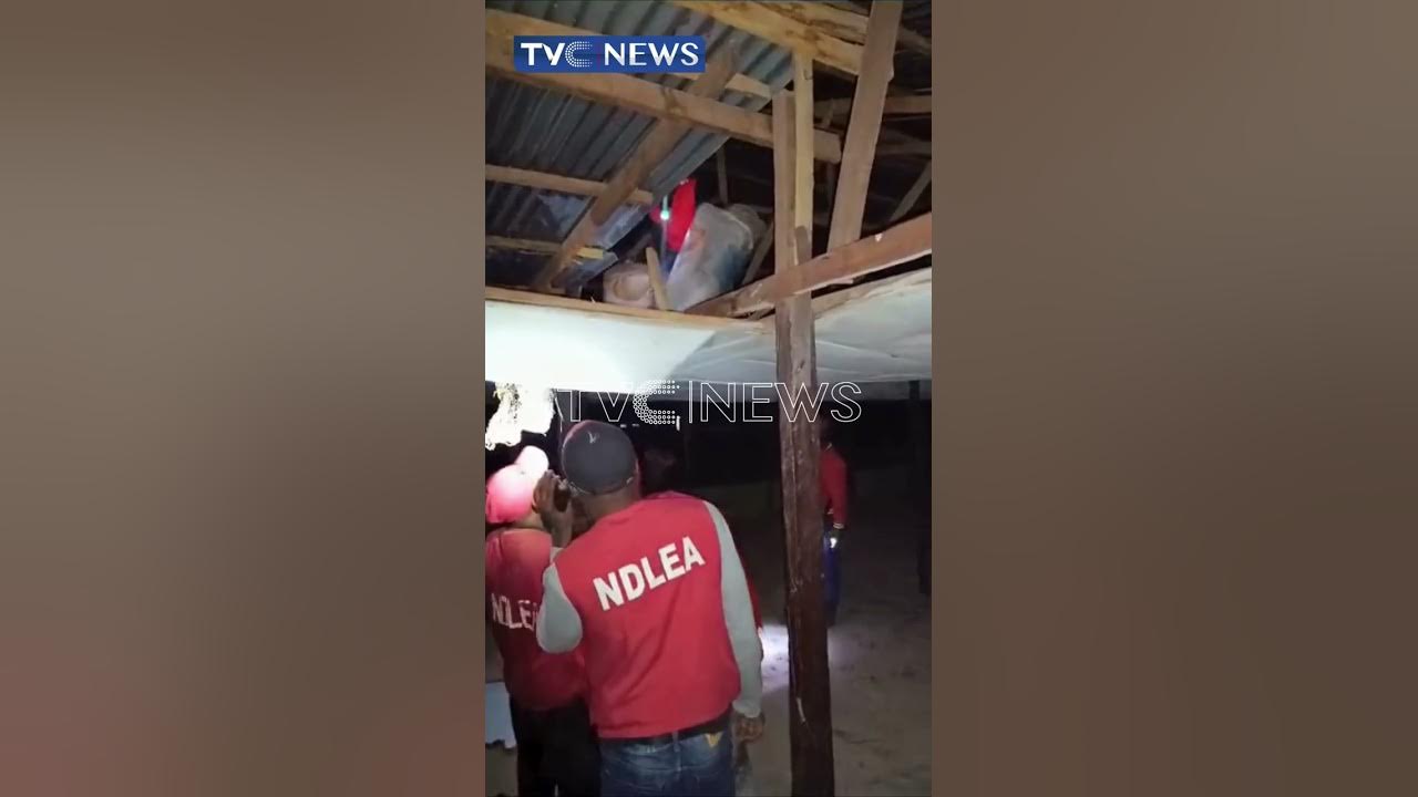 NDLEA Seizes 10 Bags of Cannabis Concealed in Ceiling [Watch]