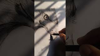 Eagle drawing #shortsfeed #trending #shorts #youtubeshorts #shortvideo