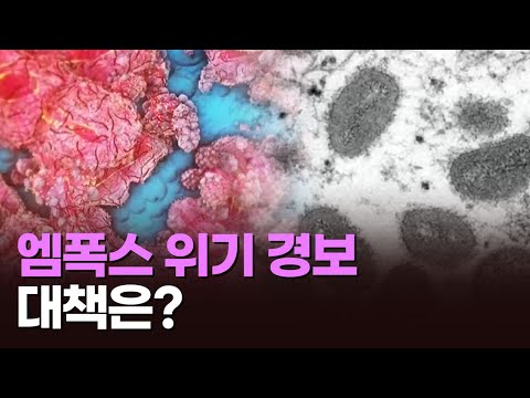 엠폭스 위기 경보…대책은? [이슈분석]