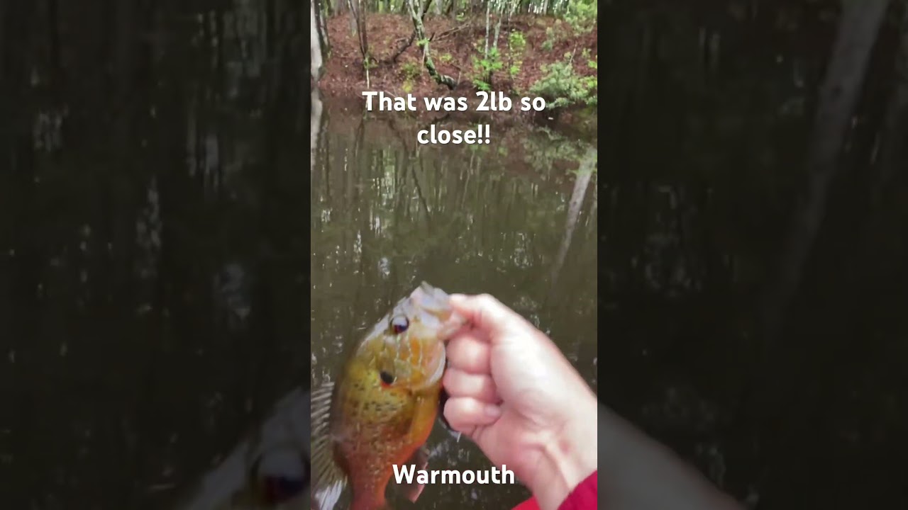 So close to beating that record!!! 