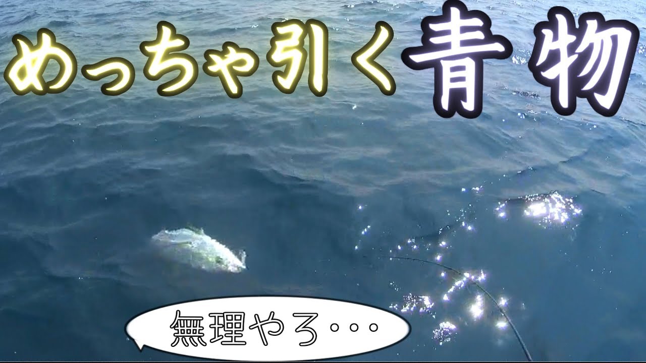突然のナブラ 4ピースのパックロッド シーバスロッドで青物プラッキング Youtube 突然のナブラ 4ピースのパックロッド シーバスロッドで青物プラッキング Youtube