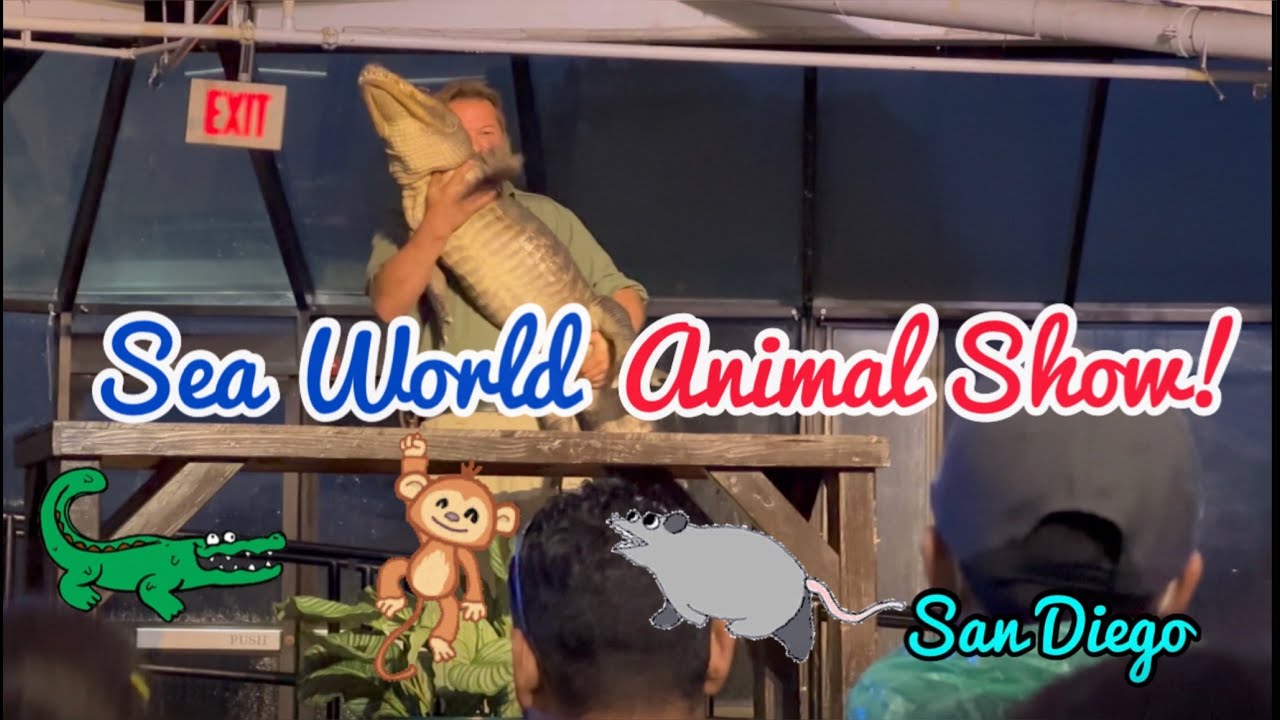 Feathers, Scales, and Furry Tails Sea World Show Exotic Animal Show