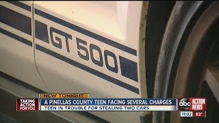 Teen charge in car theft
