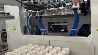 Full automatic PP yogurt cup thermoforming machine