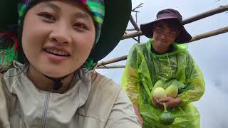 Paj Nag Our Life Coffee Farming | 1000 Years 1 Love
