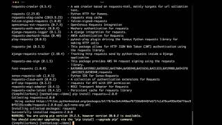 Python Virtual Environments