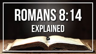 Romans 814 Explained - What Does The Bible Verse Romans 814 Kjv Really Mean?