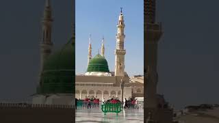Tinka bhi hamare to #ytshorts #madina #shorts