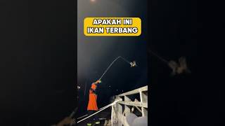 Fishing On The Bridge Got Something Unexpected fishing fishing