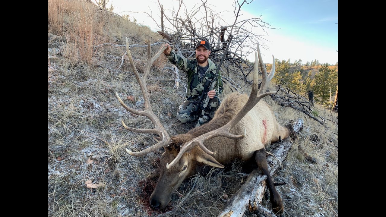 Montana rifle elk hunt (Part 2) 817 Yard Shot Mtn Ascent 16 YouTube