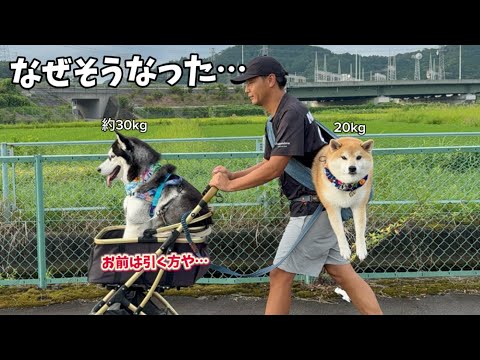 もちごめ兄弟ちゃんねる - YouTube