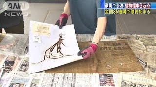 熊本豪雨で水没・・・植物標本3万点　全国35機関で修復(20/07/28)