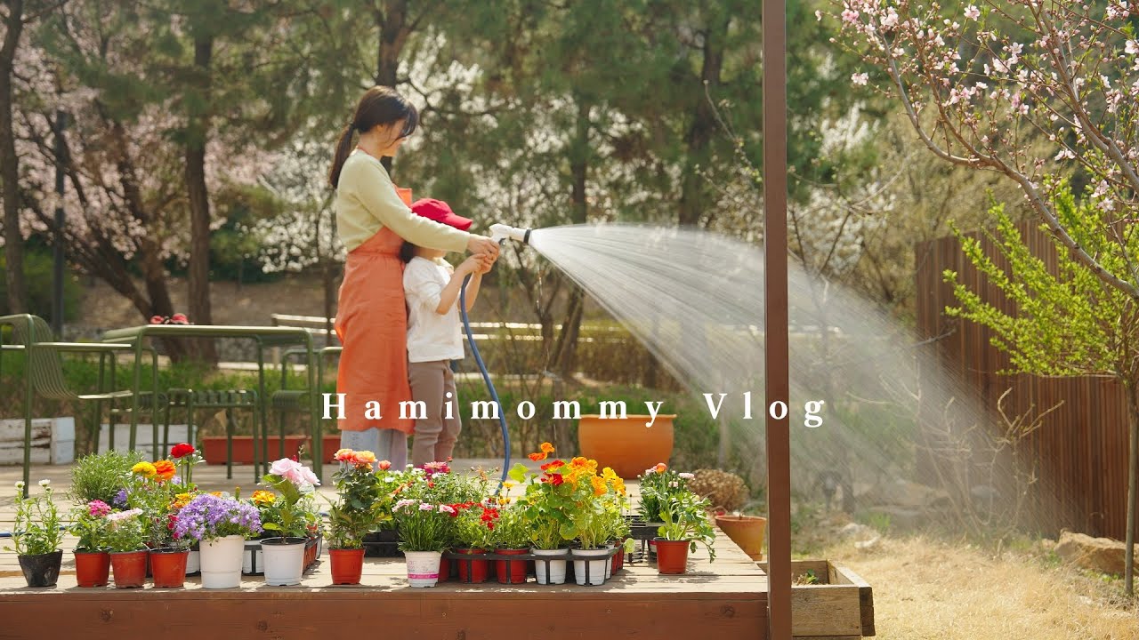 Садоводство весной 🌸ㅣВишни цветут в моем садуㅣОбед на террасеㅣПриготовление корейской едыㅣВлог