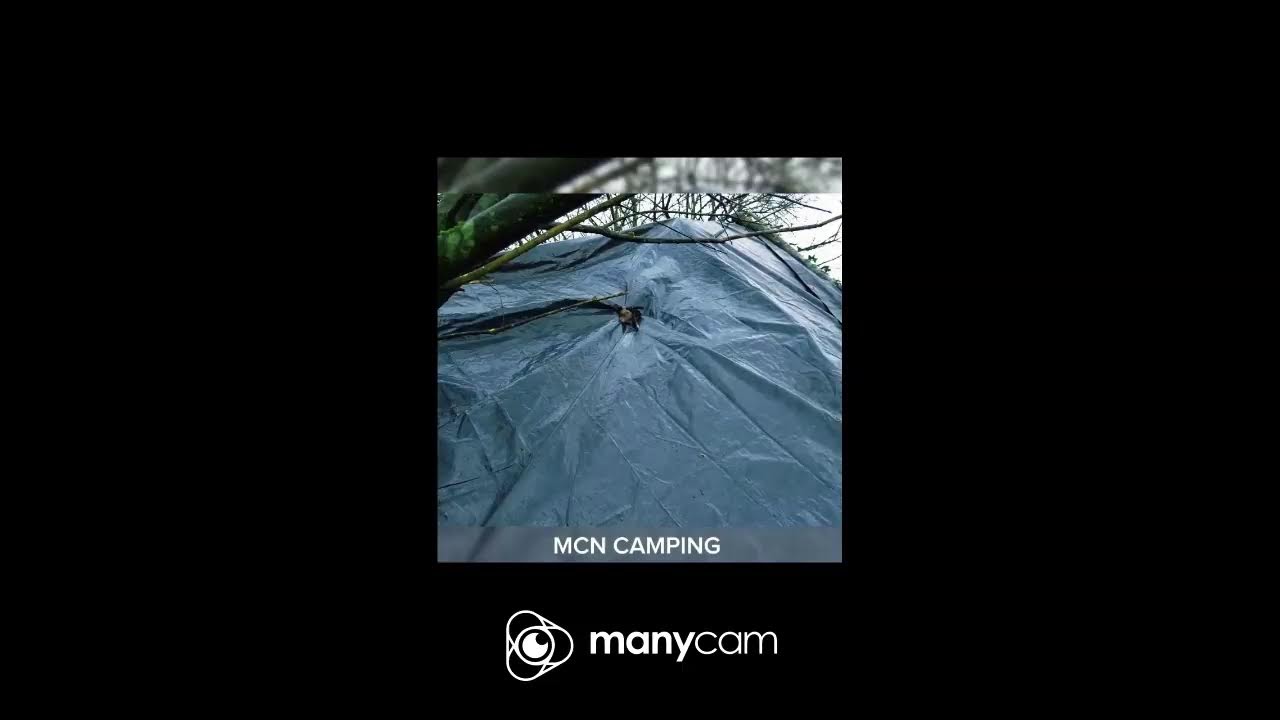 Live Stream ZNRED GAME