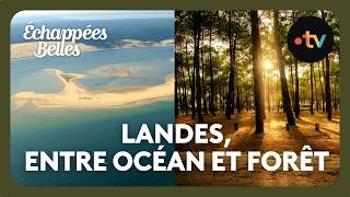 The Landes: Between Ocean and Forest - Échappées Belles screenshot 5