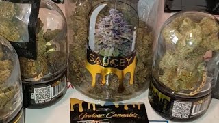 LA KUSH CAKE and GUAVA JAM THCA STRAIN REVIEW FROM GOLD SPECTRUM