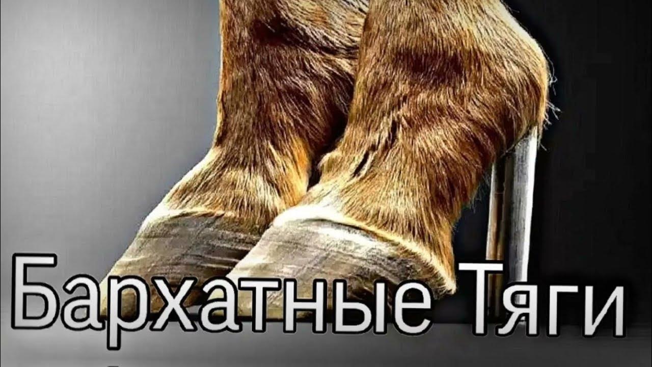 Бархатные тяги планктон мем. Тяги бархатные кефтеме мем. Бархатный мем. Бархатный мем. Мемы про тяги.