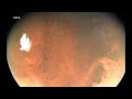 NASA releases timelapse of Mars surface from passing spacecraft
