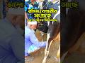 ভালো মানের গাভী লাগলে রহিম বেপারীর সাথে যোগাযোগ করতে পারেন 🐄 | #mitaliagro #cow #cowvideos #cowlover