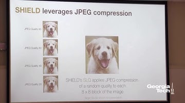 Towards Secure & Interpretable AI: Scalable Methods, Interactive Visualizations, and Practical Tools