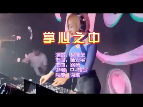 魏佳艺 《掌心之中 (DJ沈念舞动版)》 KTV 导唱字幕 (备有伴奏视频) - YouTube