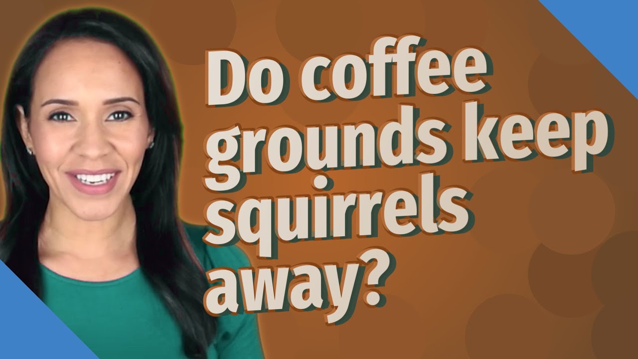 Do Coffee Grounds Keep Squirrels Away?