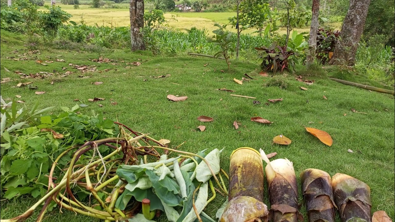 Mang laswa kami sang bata nga masabad