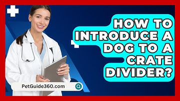 How To Introduce A Dog To A Crate Divider? - PetGuide360.com