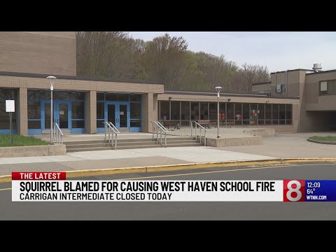 Squirrel blamed for starting fire at West Haven school