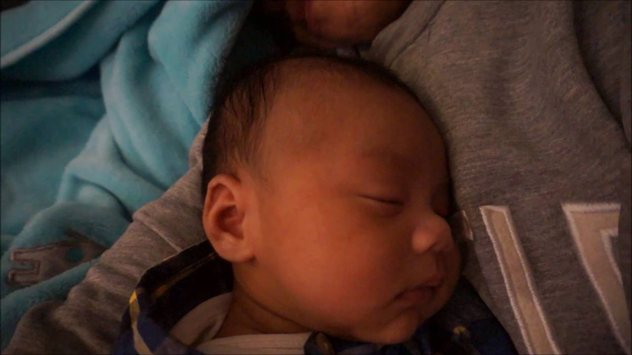 DAY 47 - Mama bear and cub napping together - YouTube