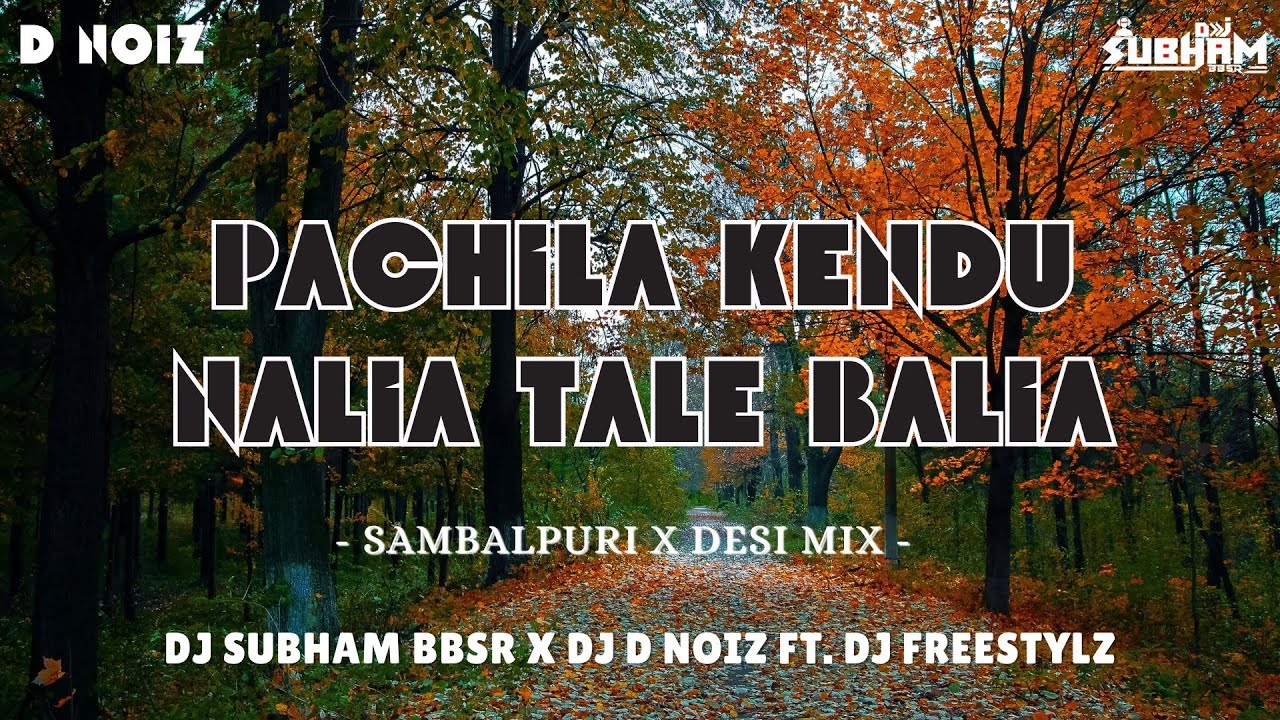 PACHILA KENDU x NALIA TALE BALIA // SAMBALPURI x DESI MIX // DJ SUBHAM BBSR x DJ D NOIZ x FREESTYLZ