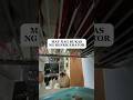 Someone Open The Refrigerator Hahaha Cat Catactivity Shortvideo Someone Open The Refrigerator Hahaha Cat Catactivity Shortvideo
