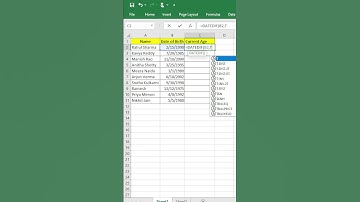 "Calculate Age in Excel in Seconds! | DATEDIF Formula | Excel Shorts" #excelfunction #exceltips