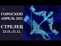 Гороскоп СТРЕЛЕЦ на апрель 2021 г.  Карина Таро