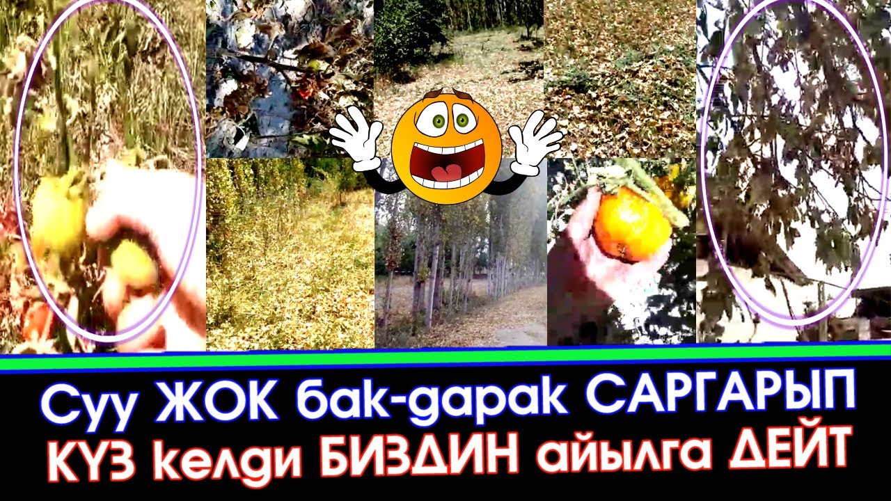 Мазам жок перевод Мазам жок перевод