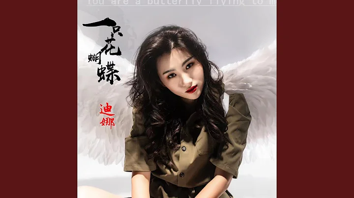 一只花蝴蝶 - 天天要闻