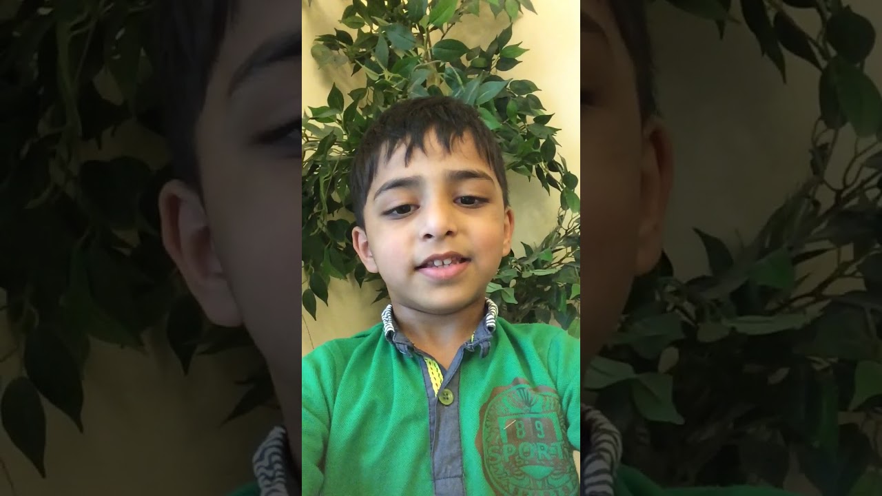 Introducing Zaidu TV