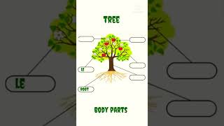 Tree Body Parts Learning S
