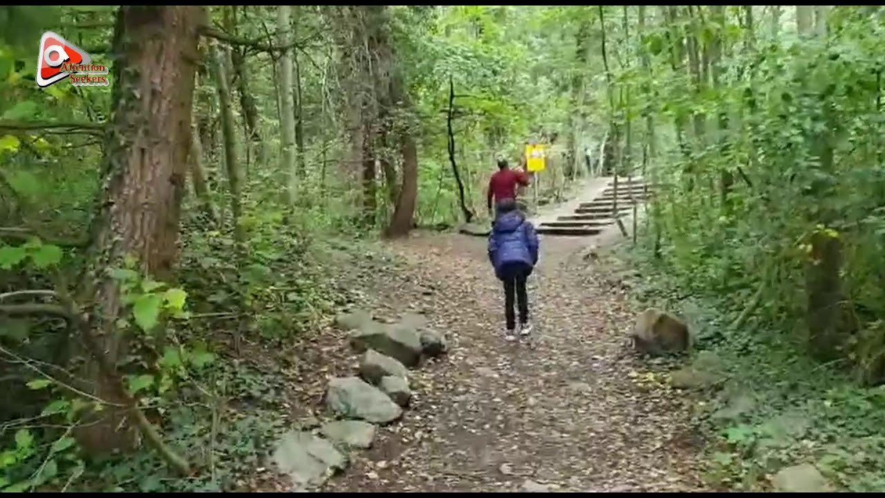 Beautiful Views Cascade de la Pissevache with Natural Water Sound |  Attention Seekers